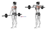 Barbell Wide Grip Upright Row (female)