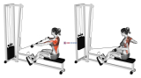 Cable Seated Wide grip Row (female)