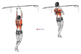 Chin ups (narrow parallel grip) (female)