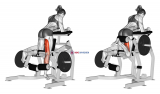Lever Kneeling Leg Curl (plate loaded) (female)