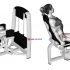 Lever Lying Chest Press (plate loaded) (female)