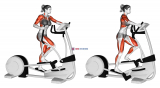 Walk Elliptical Cross Trainer (female)