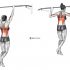 Standing Hip Adduction Stretch