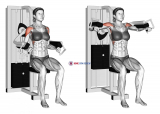 Lever Lateral Raise (female)