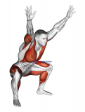 Sitting Sumo with Arms-Up Mobility Stretch