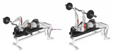EZ-Barbell Lying Triceps Extension (female)