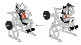 Lever Seated Leg Raise Crunch (plate loaded) (female)