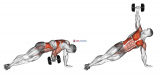 Dumbbell Side Plank with Rear Fly