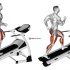 Side Lying Hip Adduction (male)
