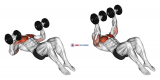 Dumbbell Lying on Floor Chest Press