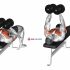 Lever Lateral Raise (plate loaded)