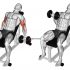 Lever Squat (plate loaded)