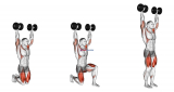 Dumbbell Kneeling Hold to Stand