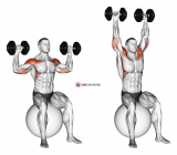 Dumbbell Seated on Exercise Ball Shoulder Press