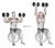 Dumbbell Seated on Exercise Ball Shoulder Press