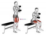 Dumbbell Goblet Box Squat
