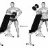 Dumbbell Incline Alternate Reverse Fly