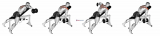 Dumbbell Incline Alternate Reverse Fly