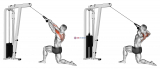 Cable Kneeling Rear Delt Row (with rope) (male)