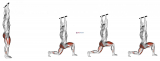 Forward Pulse Lunge with Hands Overhead