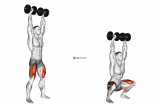 Dumbbell Overhead Squat