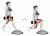 Dumbbell Split Squat Front Foot Elevanted with Bosu Ball (female)
