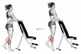 Standing Single Leg Calf Raise with Support (female)