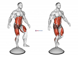 Single Leg Stand on Bosu Ball