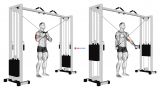 Cable Standing High Cross Triceps Extension