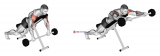 Barbell Incline Lying Rear Delt Raise