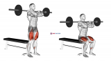 Barbell Front Bench Squat