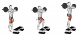 Barbell Front Step Up