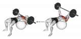 Barbell Chest Press on Stability Ball