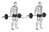Barbell Behind The Back Shrug