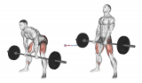 Barbell Sumo Romanian Deadlift