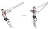 Rear Delt Fly with Bed Sheet