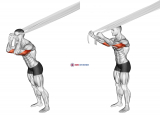 Overhead Triceps Extension with Bed Sheet