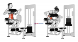 Lever Seated Crunch (chest pad) (female)