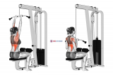 Cable Close-Grip Front Lat Pulldown (female)