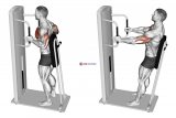 Lever Standing Chest Press
