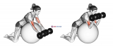 Dumbbell Preacher Curl over Exercise Ball (female)