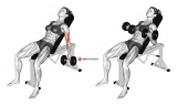 Dumbbell Incline Biceps Curl (female)