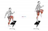 Jump Step-Up (male)