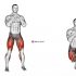 Dumbbell One Arm Reverse Spider Curl