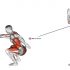 Dumbbell One Arm Prone Curl