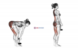 Dumbbell Stiff Leg Deadlift (female)
