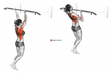 Reverse grip Pull-up (female)