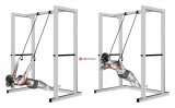 Inverted Row with Straps (female)