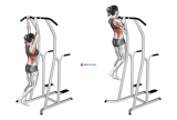Hammer Grip Pull-up on Dip Cage (female)