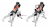 Dumbbell Hammer Grip Incline Bench Two Arm Row (female)